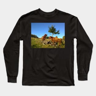 Scottish Highland Cattle Cows 1000 Long Sleeve T-Shirt